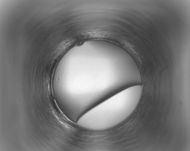 X0000051250398200506170847