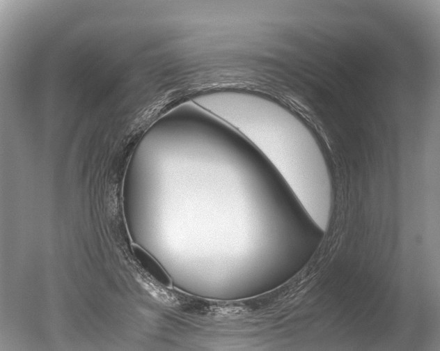 X0000051250401200506170847