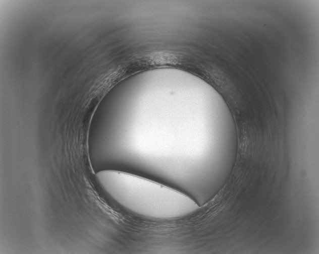 X0000051250402200506170847