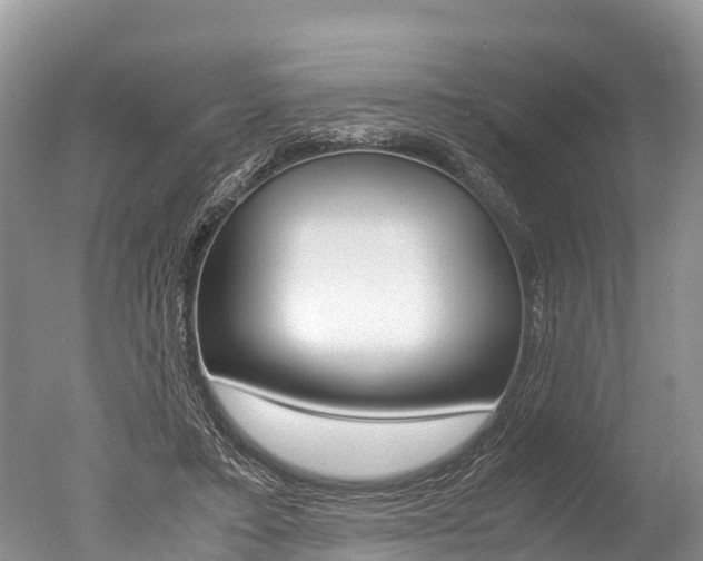 X0000051250403200506170847