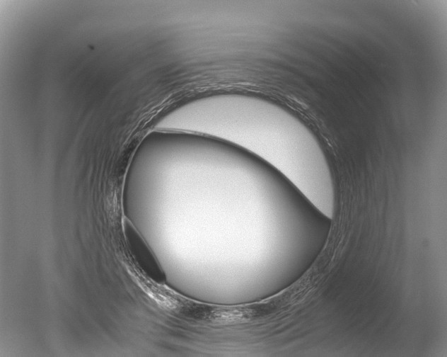 X0000051250405200506170847
