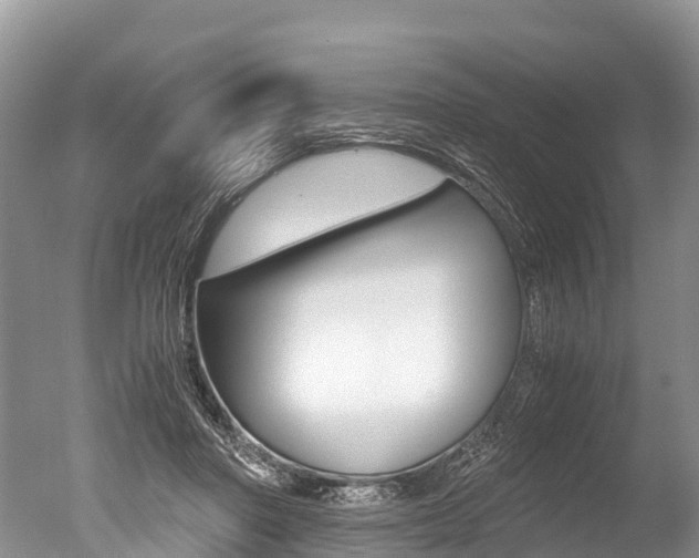 X0000051250406200506170847