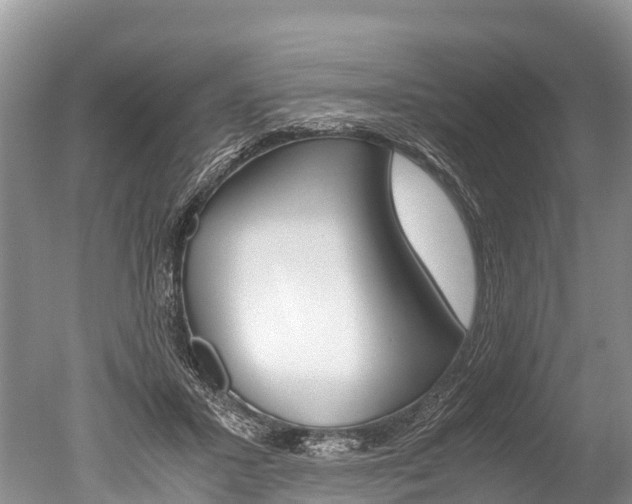 X0000051250407200506170847