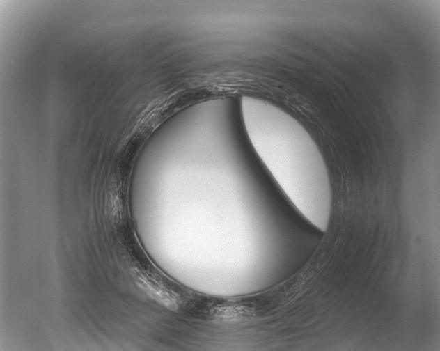 X0000051250408200506170847