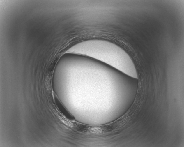 X0000051250409200506170847