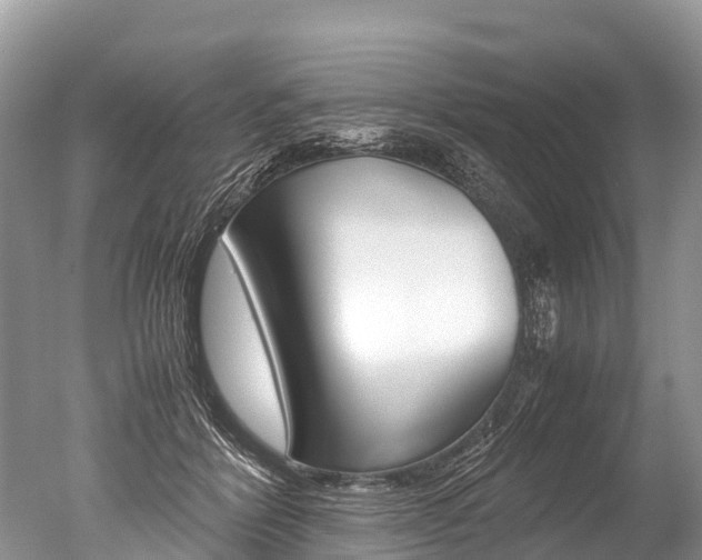 X0000051250412200506170847
