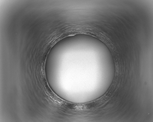 X0000051250415200506170847