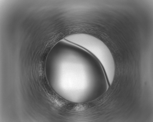 X0000051250416200506170847
