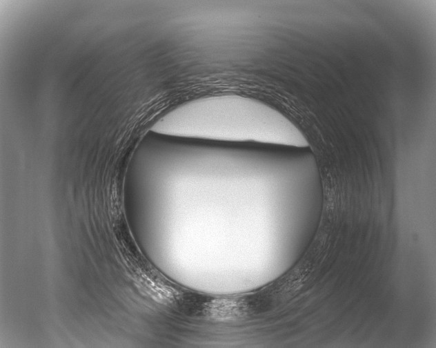 X0000051250418200506170847