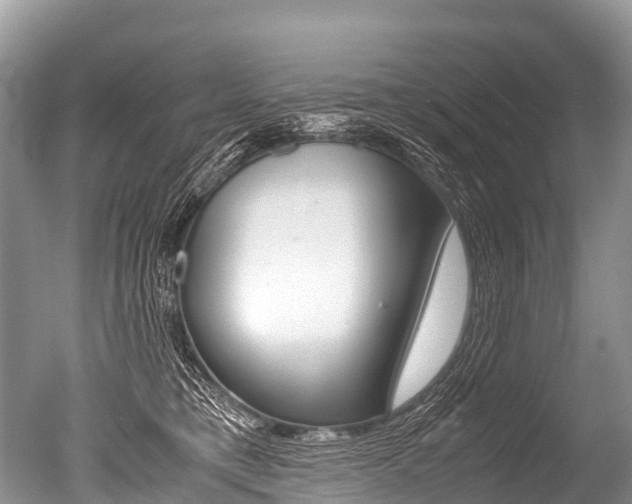 X0000051250421200506170847