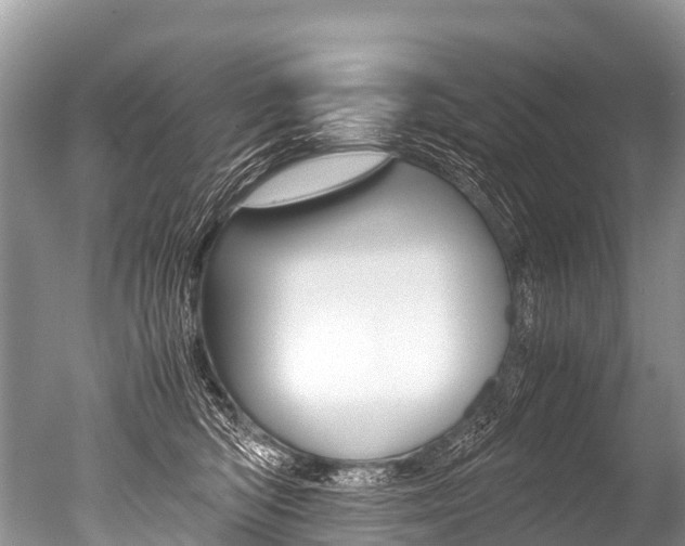 X0000051250422200506170847