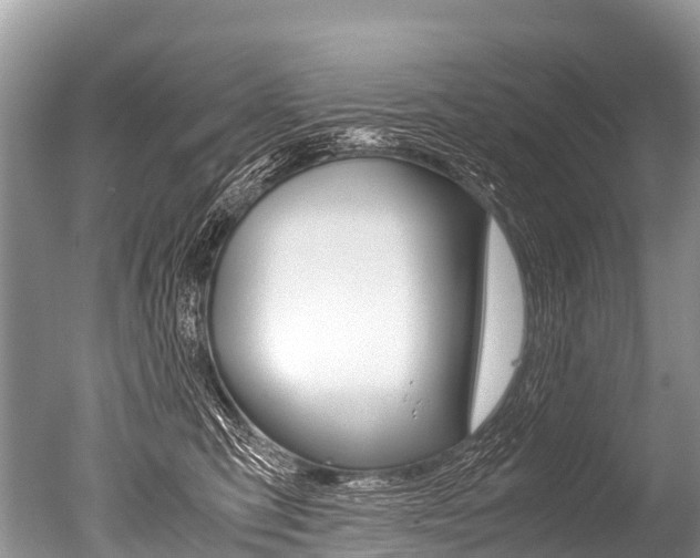 X0000051250423200506170847