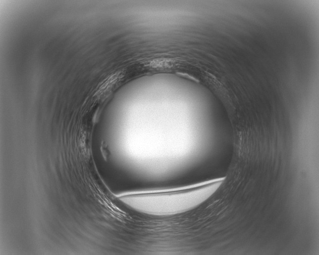 X0000051250428200506170847