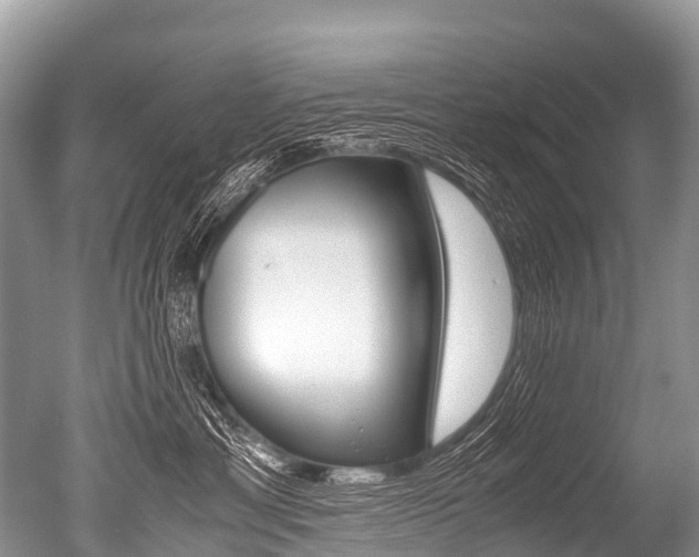 X0000051250429200506170847