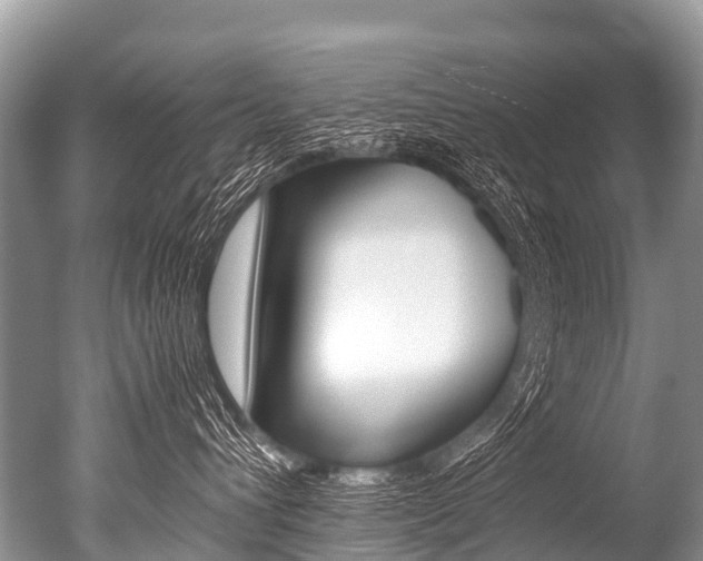 X0000051250432200506170847