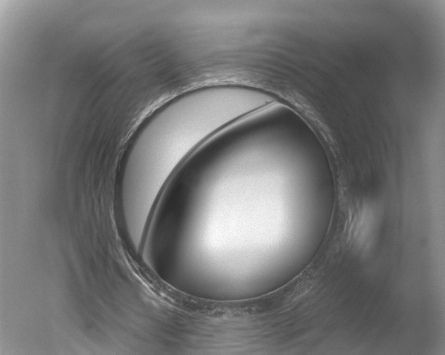 X0000051250434200506170846
