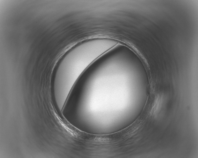 X0000051250437200506170846
