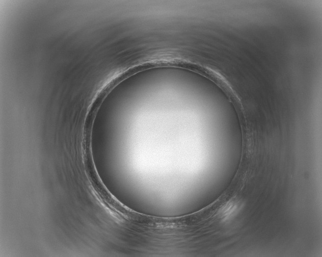 X0000051250439200506170846