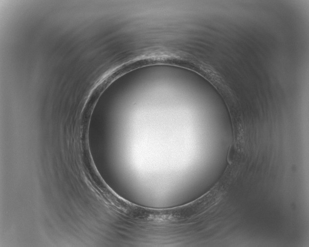 X0000051250440200506170846