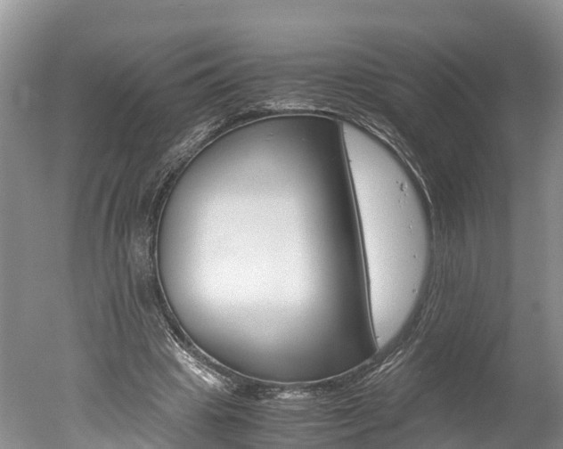 X0000051250441200506170846
