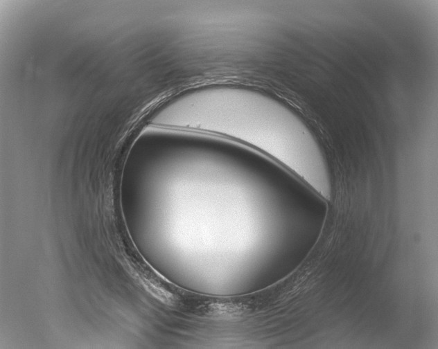 X0000051250442200506170846