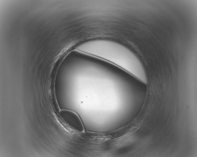 X0000051250443200506170846