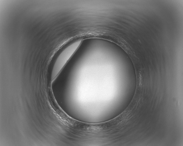 X0000051250444200506170846