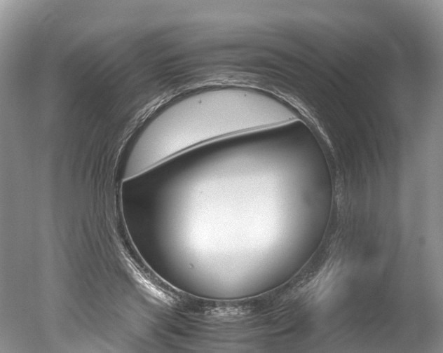 X0000051250445200506170846