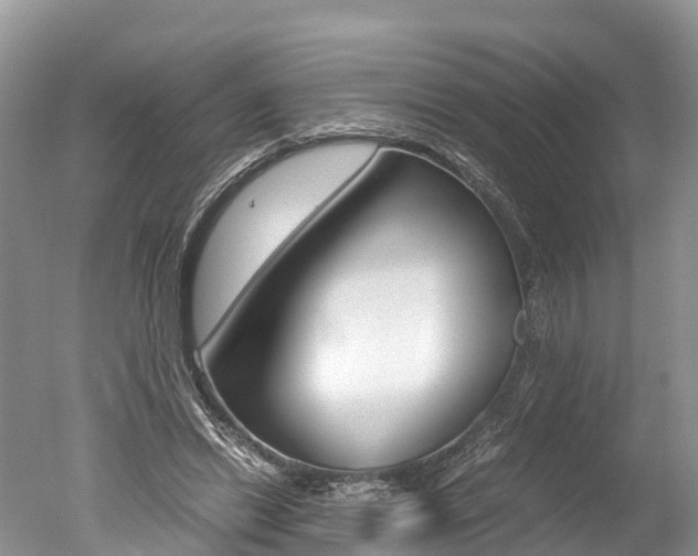 X0000051250446200506170846