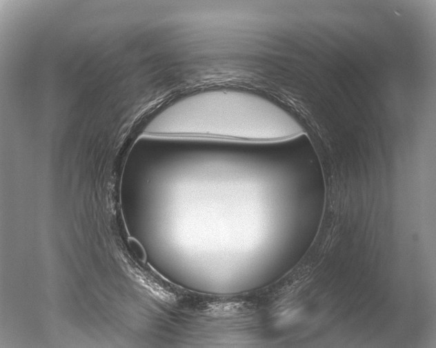 X0000051250450200506170846