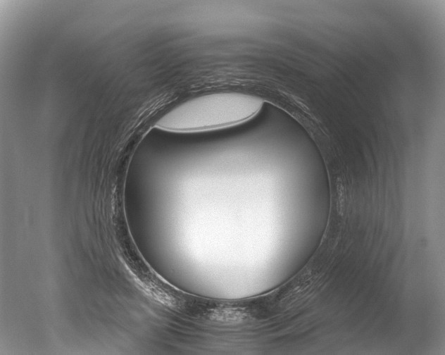 X0000051250451200506170846