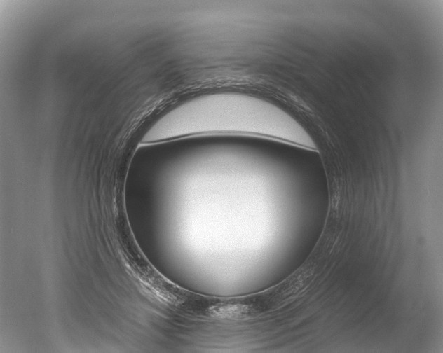 X0000051250452200506170846