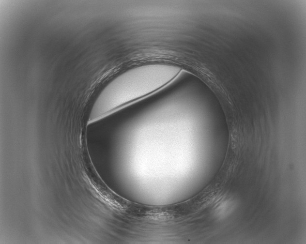 X0000051250454200506170846
