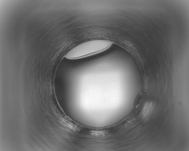 X0000051250457200506170846