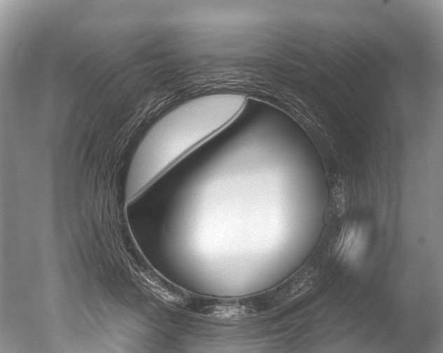 X0000051250458200506170846