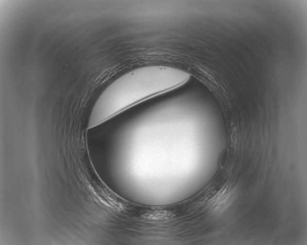 X0000051250459200506170846