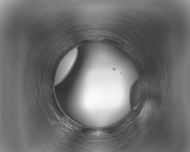 X0000051250460200506170846