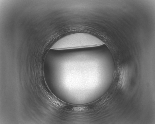 X0000051250461200506170846