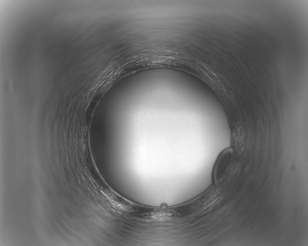 X0000051250462200506170846