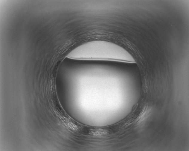 X0000051250463200506170846