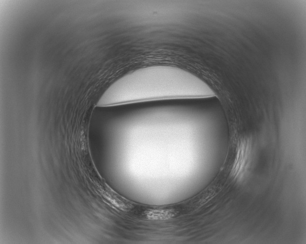 X0000051250465200506170846