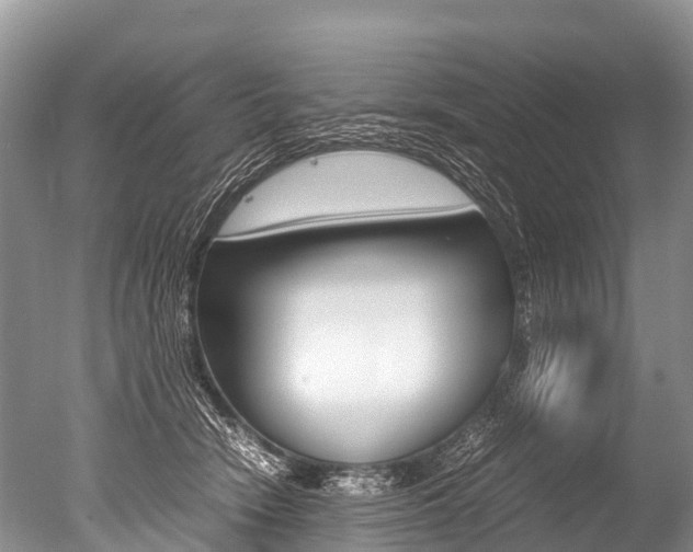 X0000051250466200506170846