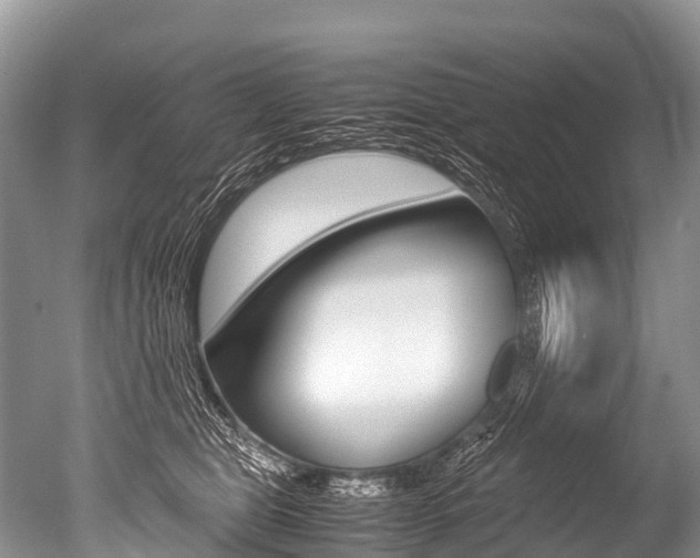 X0000051250469200506170846