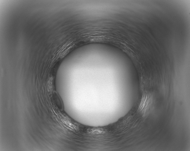 X0000051250475200506170846