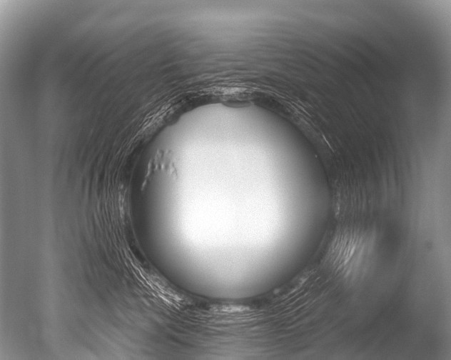 X0000051250476200506170846