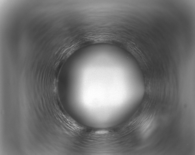 X0000051250478200506170846