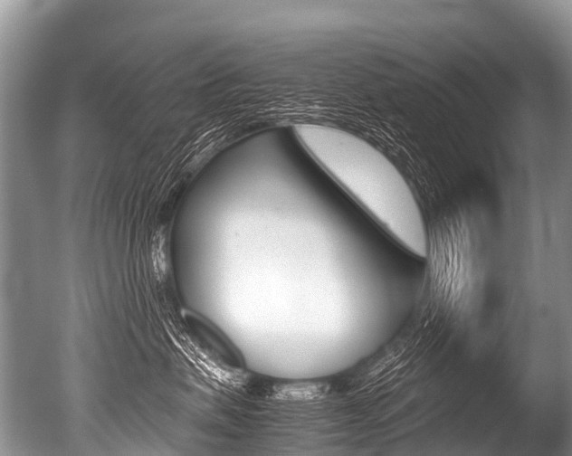 X0000051250479200506170846