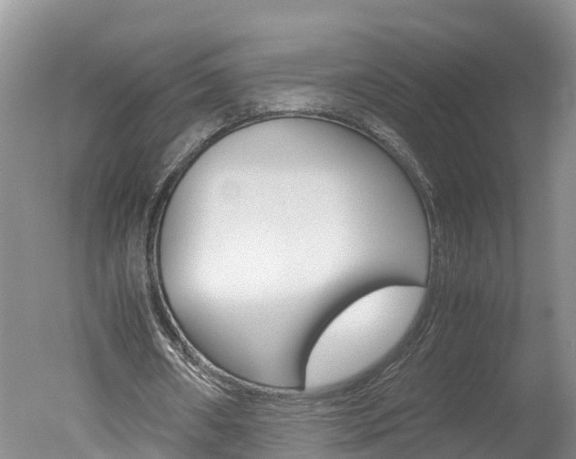 X0000051250482200506170846