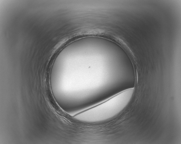 X0000051250483200506170846