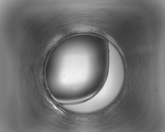 X0000051250485200506170846